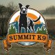 Talking Dogs With Devan Blazey from Summit K9 | Pandemic Playbook #5